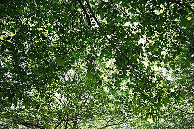 B社澄清确认：《星空》仅Xbox实体标准版包含游戏光盘